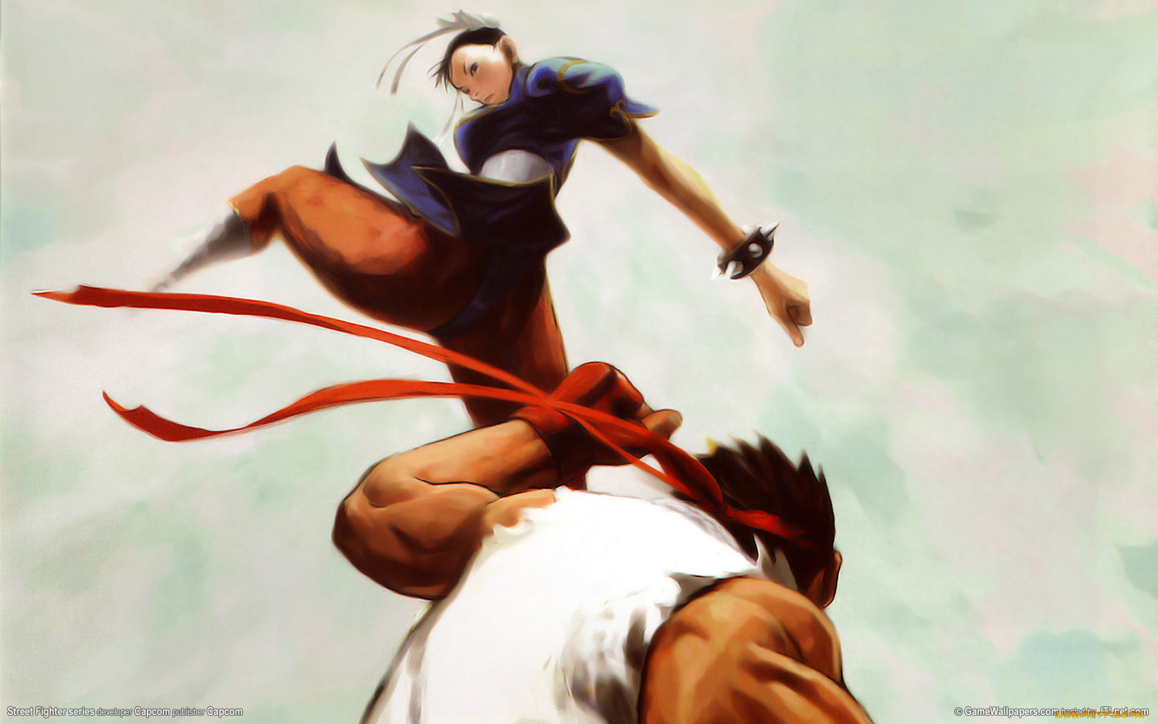 , , street, fighter, series